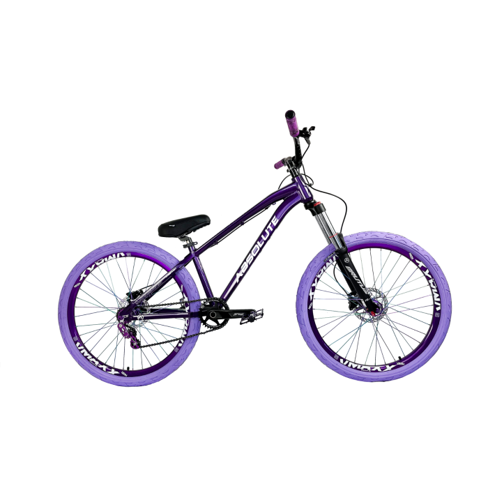 Bicicleta Aro 26 Absolute Brutus Pro Grau Single Tanke Barulhento - Roxo