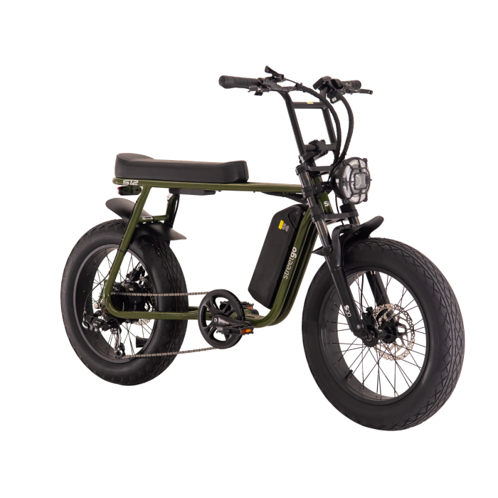 Bicicleta Elétrica Streetgo S12 750w Alumínio 48v 32km/h 15ah Freios Hidráulicos Verde